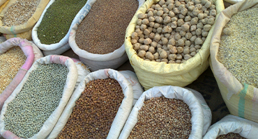 Grain & Pulse Crops